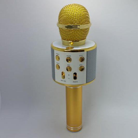 WSTER - Haut-parleur karaoké HIFI avec microphone sans fil WS-858
